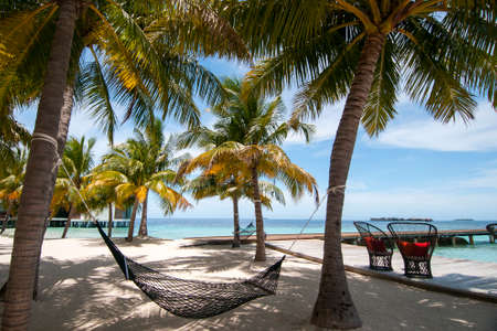 Empty hammock between palm trees on tropical beach in Maldivesの写真素材
