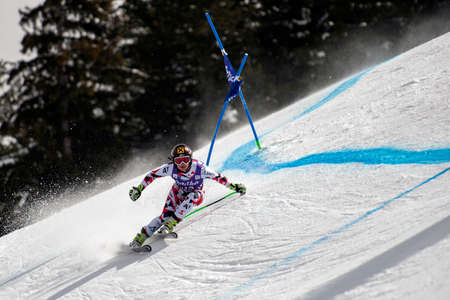BANSKO, BULGARIA -  MARCH  2, 2015: Anna Fenninger (AUT)  takes 1st place during the Audi FIS Alpine Ski World Cup Ladies' Super G on MARCH  2, 2015 in Bansko, Bulgariaのeditorial素材