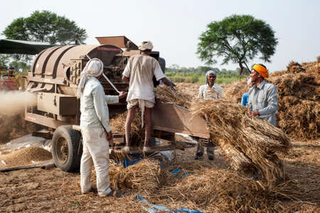 ORCHAINDIA   APRIL  23 2015: Unidentified Indian people working on the field on April  23 2015 in Orchha Madhya Pradesh India. India ranks second worldwide in farm output.のeditorial素材