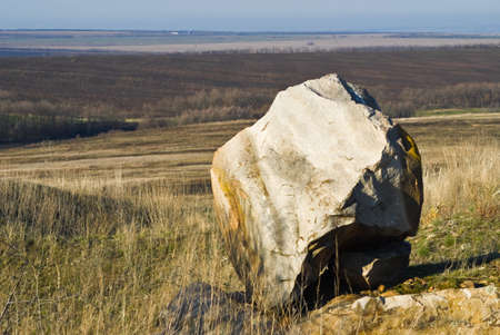 Large white stone on the background fields