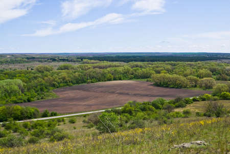 View from the Mountains in the wooded valley and a fieldの写真素材