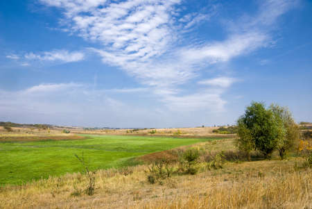 Green meadow in place of the dried pond under the blue sky with cloudsの写真素材