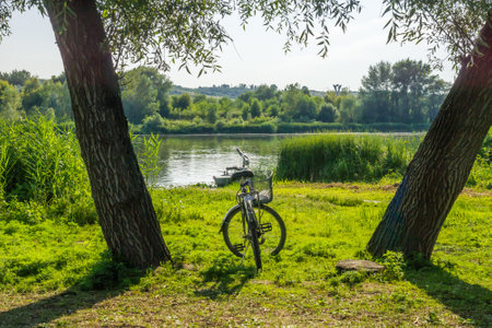 A bicycle with a basket between two tree trunks on the bank of the river, waiting for the owner who has gone to swimの写真素材