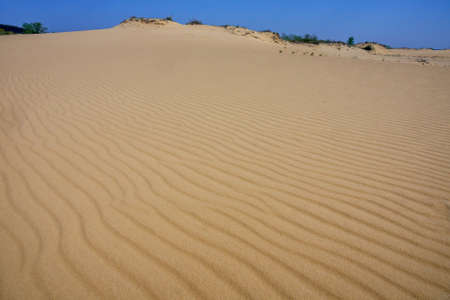 Wavy and untouched surface of yellow sandの写真素材