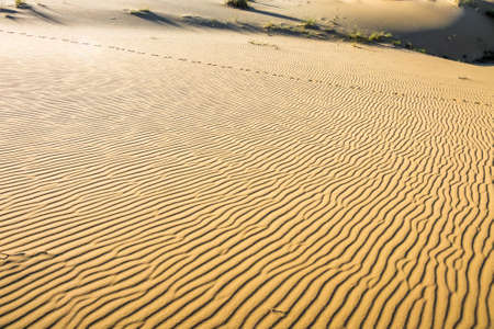 The textured surface of the sand in perspective. In the background there is a chain of footprints and small bumps with shadows.の写真素材