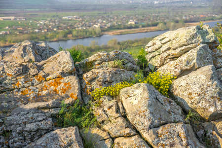 Boulders covered with multi-colored lichens and yellow flowers on the top of a mountain overlooking the river bank and rural buildingsの写真素材