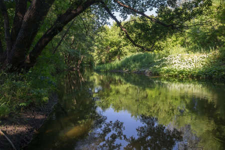 A narrow river surrounded by banks with trees and an overgrown meadow lit by the sunの写真素材
