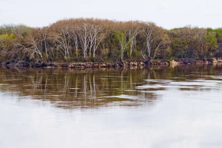 View of the Don River from Vyoshenskaya Embankment during the spring flood. Tall white poplars on the shore are reflected in the spring water.の写真素材