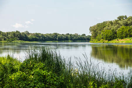 A hot summer day on the Don River near the village of Migulinskaya, Russia. Calm river water among wild green shoresの写真素材