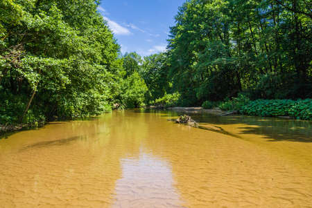 Peskovatka river near the village of Kazanskaya, Rostov region, Russia. A shallow river with a yellow sandy bottom and clear water, surrounded by slender alders. Bright sunny day with blue sky and white cloudsの写真素材