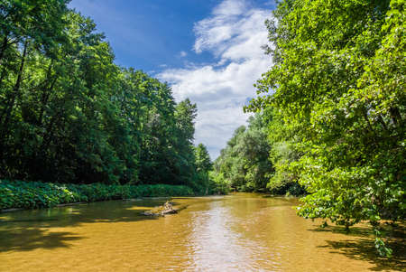 Peskovatka river near the village of Kazanskaya, Rostov region, Russia. A shallow river with a yellow sandy bottom and clear water, surrounded by slender alders. Bright sunny day with blue sky and white cloudsの写真素材