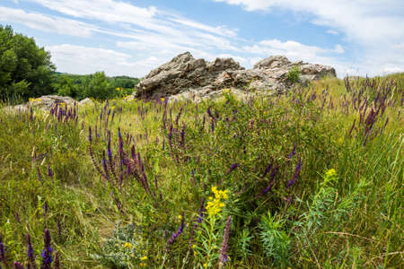 Outcrops of Paleogene rocks in the north of the Rostov region. A light angular rock among lush green steppe grasses.の写真素材