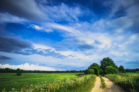 Field landscape with village door and deep blue skyの写真素材