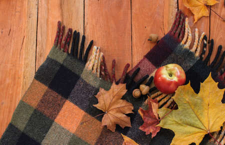 acorn, autumn, background, blanket, board, bright, brown, colorful, comfortable, cozy, design, fall, food, frame, garden, leaf, mood, mug, nature, november, oak, october, orange, page, plaid, plant, red, reflection, rustic, season, seasonal, september, spの写真素材