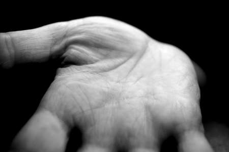 Palm close-upの写真素材