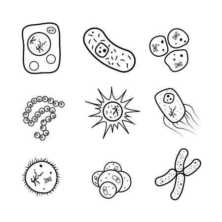 Set of biology cells, bacteria and virus black iconsのイラスト素材