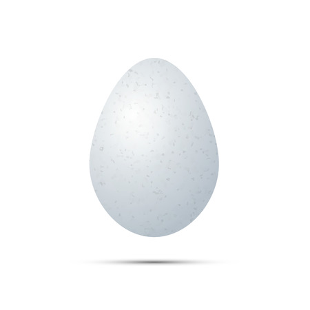 Realistic white egg with shadow, isolated on whiteのイラスト素材
