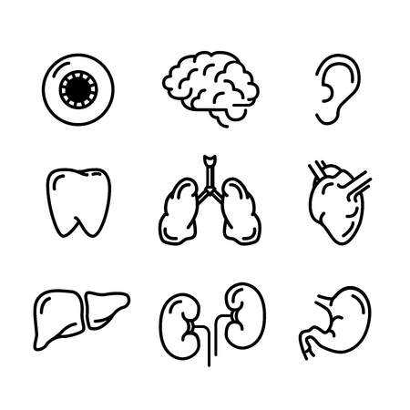 Set of black outline icons of humans organs isolated on whiteのイラスト素材