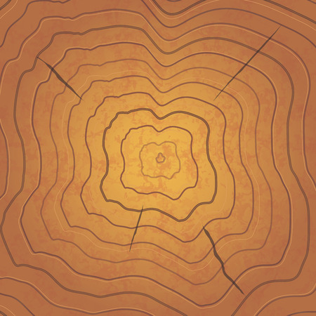 Bright brown tree rings, realistic square illustrationの写真素材