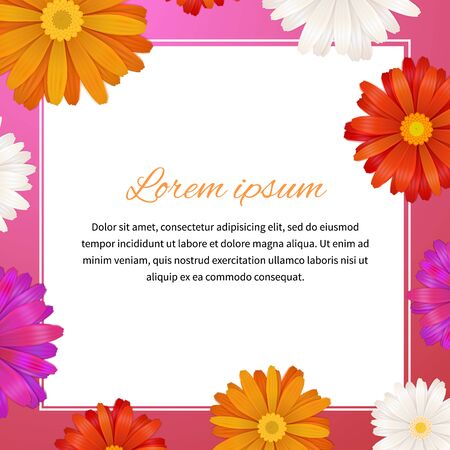 Health and beauty template with colorful gerbera flowers and text space, square illustrationのイラスト素材
