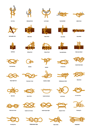 Big set of different sea knots isolated on whiteのイラスト素材