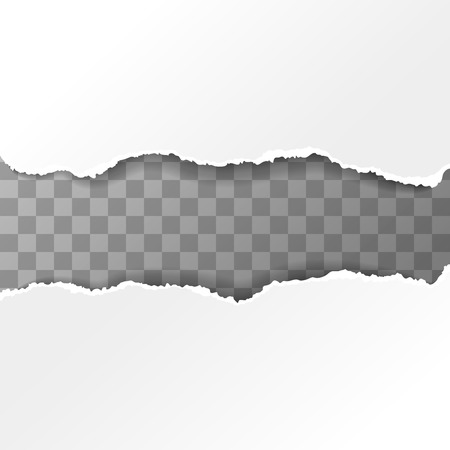 White torn paper piecesのイラスト素材