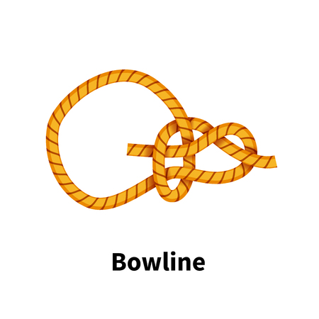 Bowline sea knot. Bright colorful how-to guide on whiteのイラスト素材