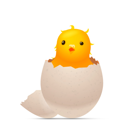 Cracked egg with chick inside on whiteのイラスト素材