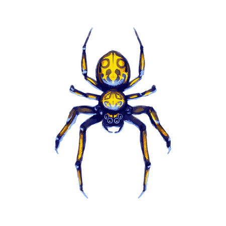 Danger exotic crawling spider, cartoon arachnid isolated on whiteのイラスト素材
