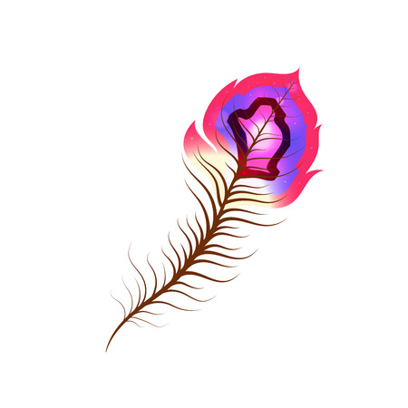 Bright exotic feather with colorful stripes isolated on whiteのイラスト素材
