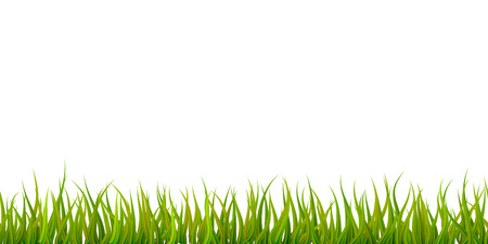 Bright detailed green grass, seamless border isolated on whiteのイラスト素材
