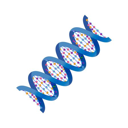 Bright detailed DNA, genetic sign isolated on whiteのイラスト素材