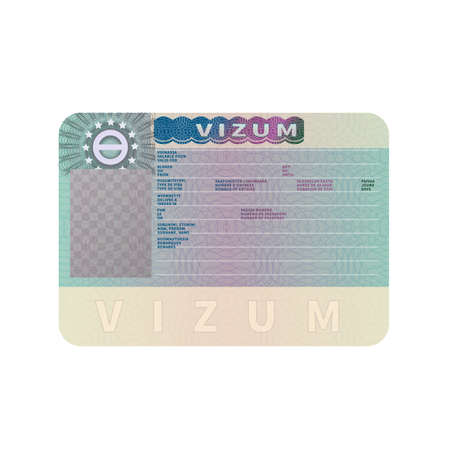 European Union visa realistic dummy template on whiteのイラスト素材
