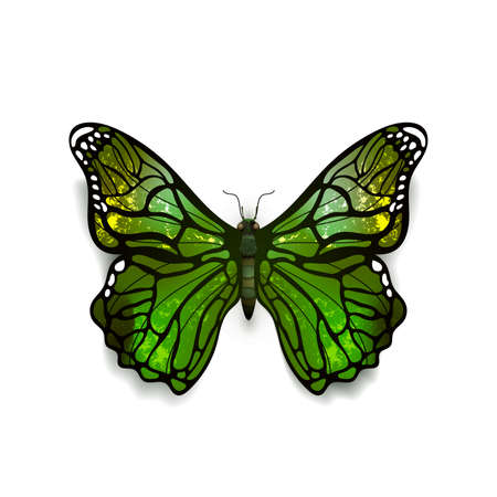 Green detailed realistic butterfly isolated on whiteのイラスト素材