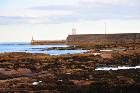 Harbour mouth at low tide 