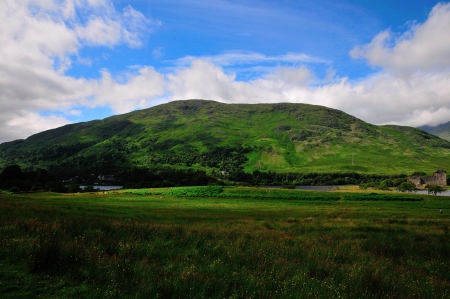 Houseの写真素材