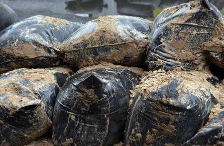 Bags with wet sand for building                      の写真素材