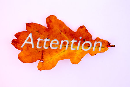 Autumn leaves, objects with Attention text. Natural patterns, color design.