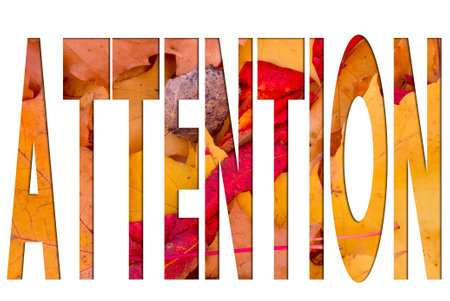 Autumn leaves, objects with Attention text. Natural patterns, color design.の写真素材