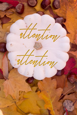 Autumn leaves, objects with Attention text. Natural patterns, color design.