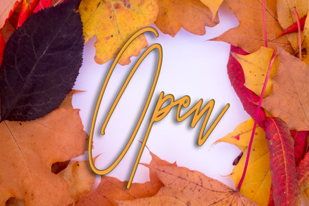 Autumn leaves, objects with Open text. Natural patterns, color design.の写真素材