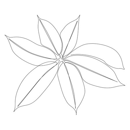 One continuous line of Leaf. Thin Line Illustration vector concept. Contour Drawing Creative ideas.のイラスト素材