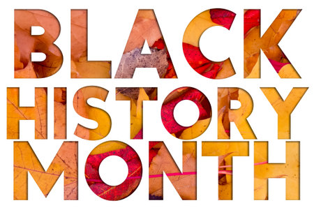 Autumn leaves, objects with Black History Month text. Natural patterns, color design.の写真素材
