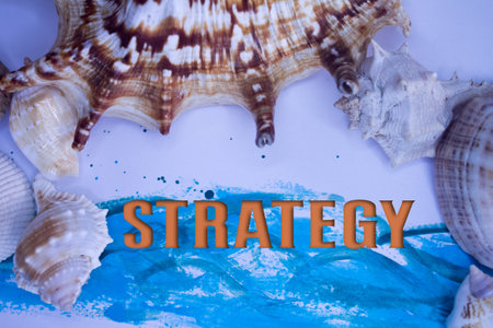 Animal Shell, Summer vacation, marine background with Strategy text.の写真素材