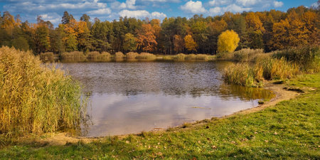 Lake near Kyiv before the war.の写真素材