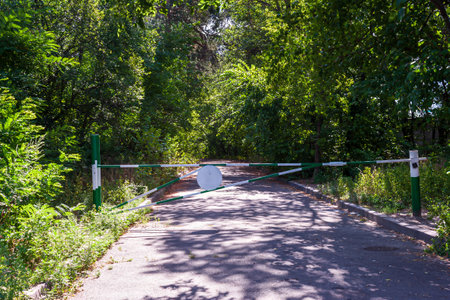 Barrier with blank road sign on a forest roadの写真素材
