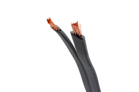 black braided flat audio power cable