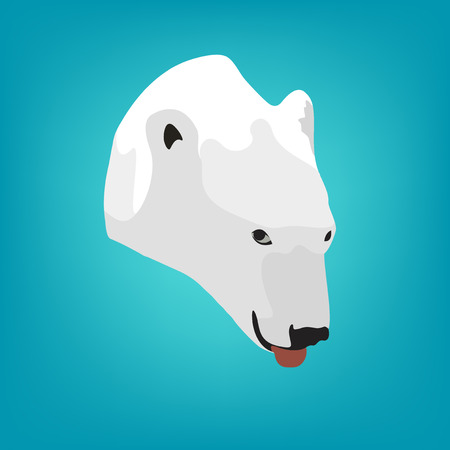 illustration polar bear\'s head on a blue background.のイラスト素材