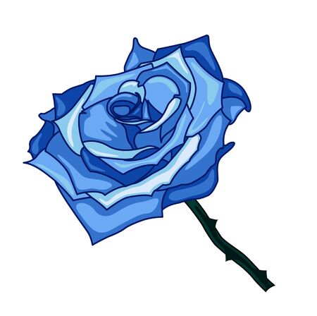 illustration of blue rose on a white backgroundのイラスト素材