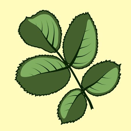 illustration leaves roses on cream backgroundのイラスト素材